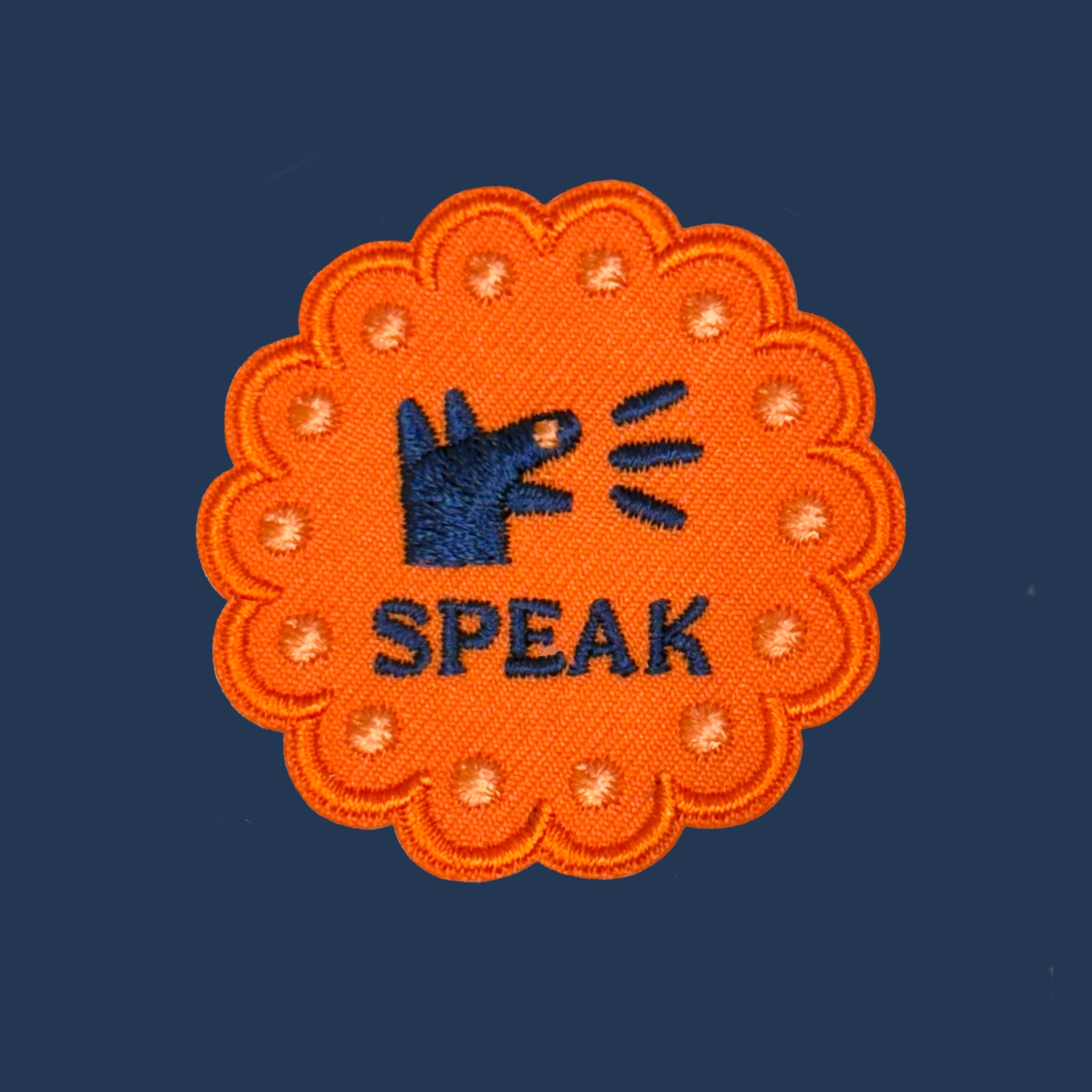 “講話”成就布章