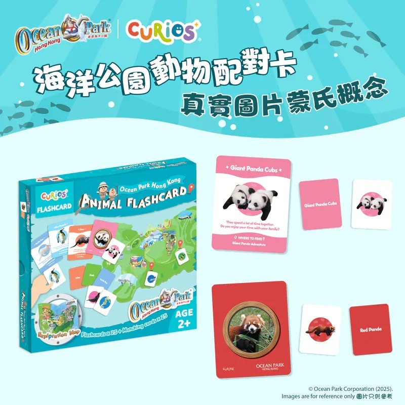 Curios®️海洋公園動物配對卡