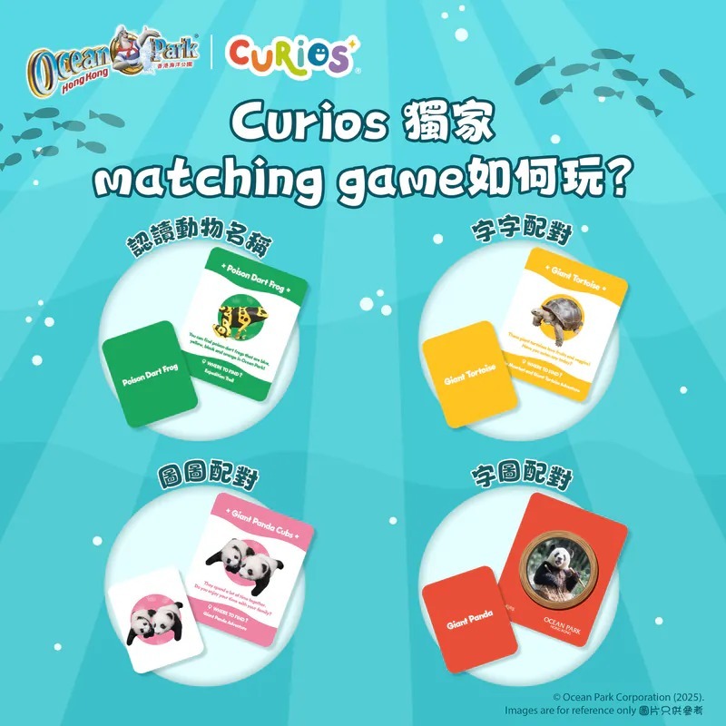 Curios®️海洋公園動物配對卡