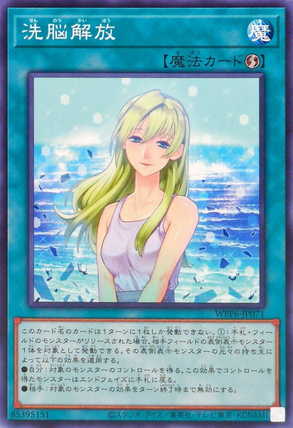 WPP6-JP071 洗脳解放