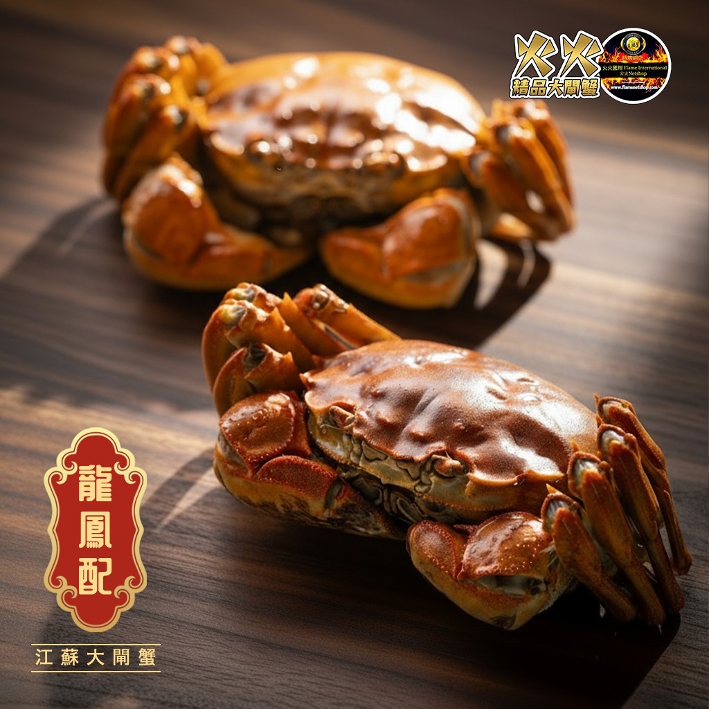 是日精選-極品龍鳳配