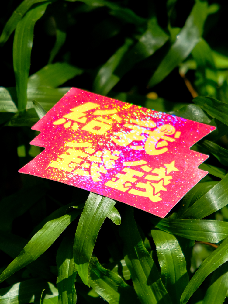 SPPPP｜Flying Boys｜閃亮防水貼紙｜給我錢錢｜B