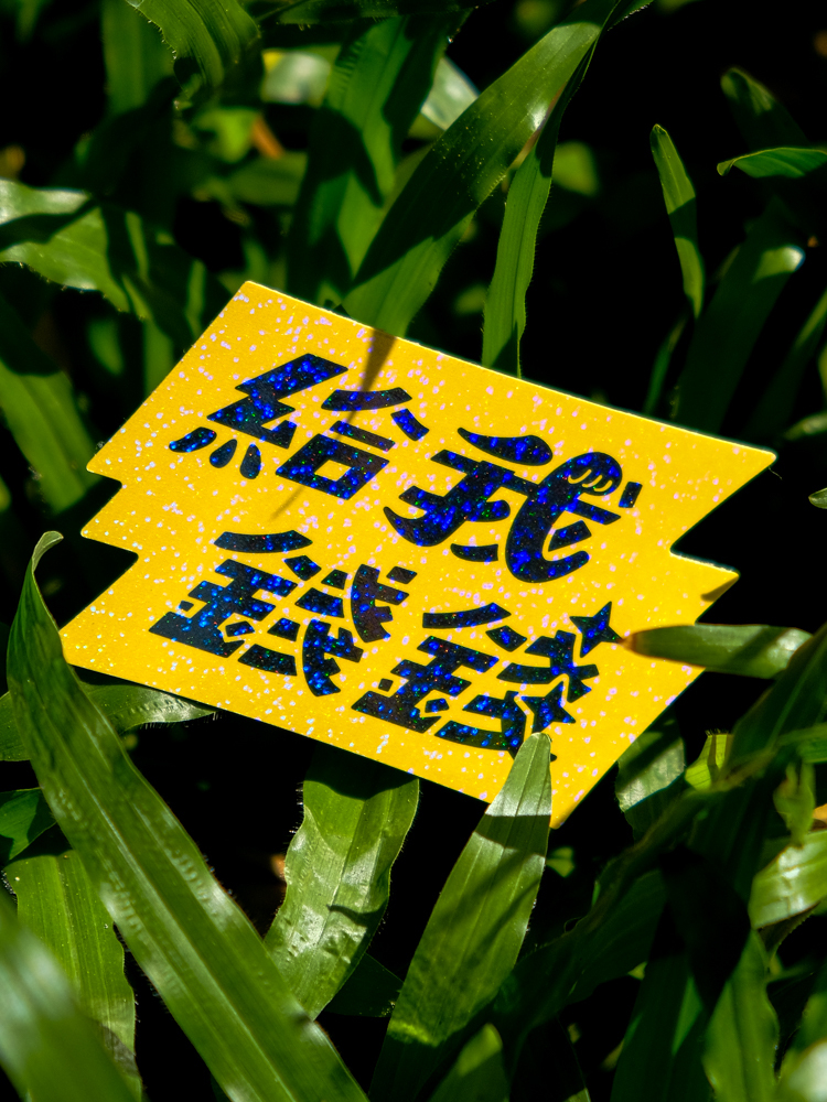 SPPPP｜Flying Boys｜閃亮防水貼紙｜給我錢錢｜C