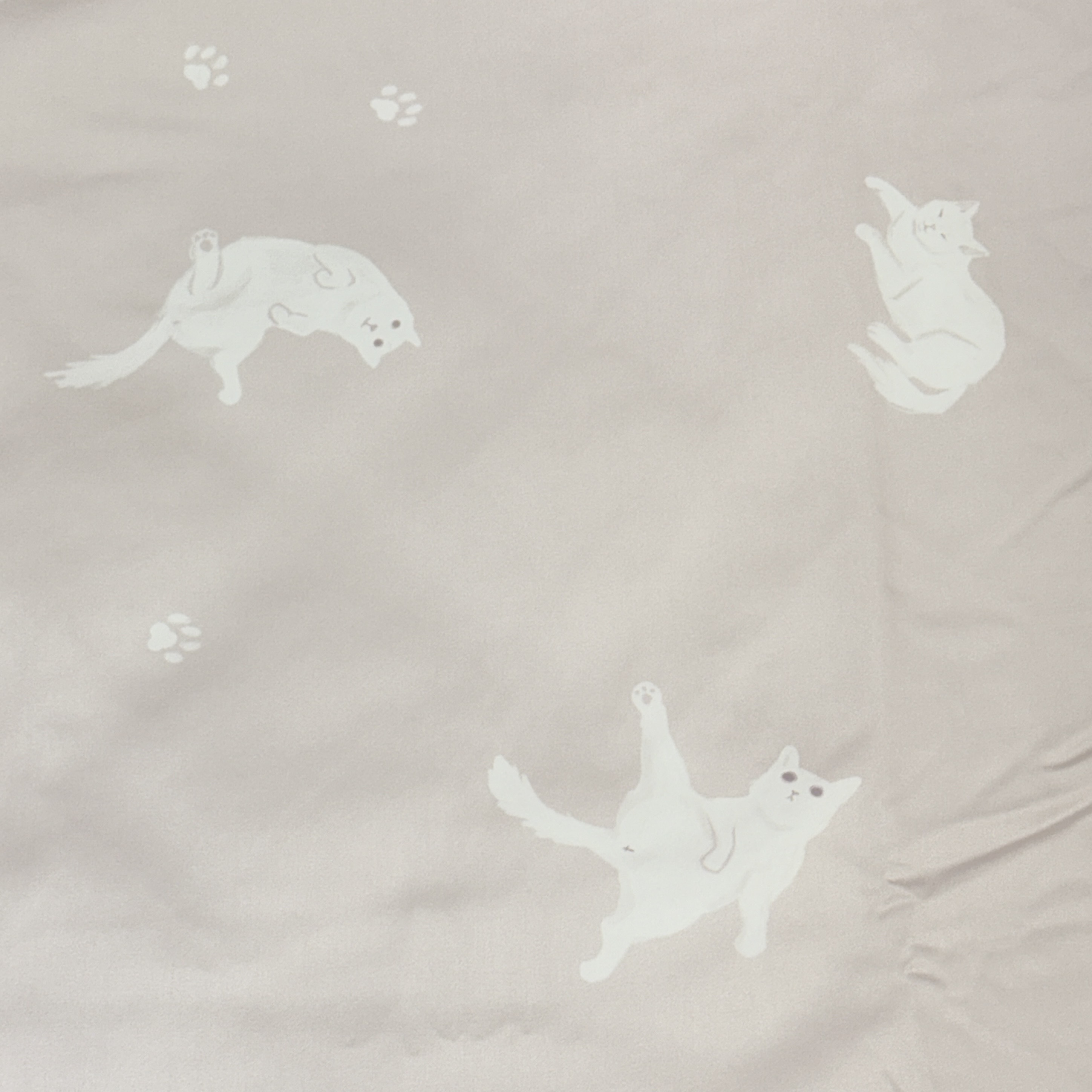 60支天絲薄被單 | 喵喵夢境 DR8300