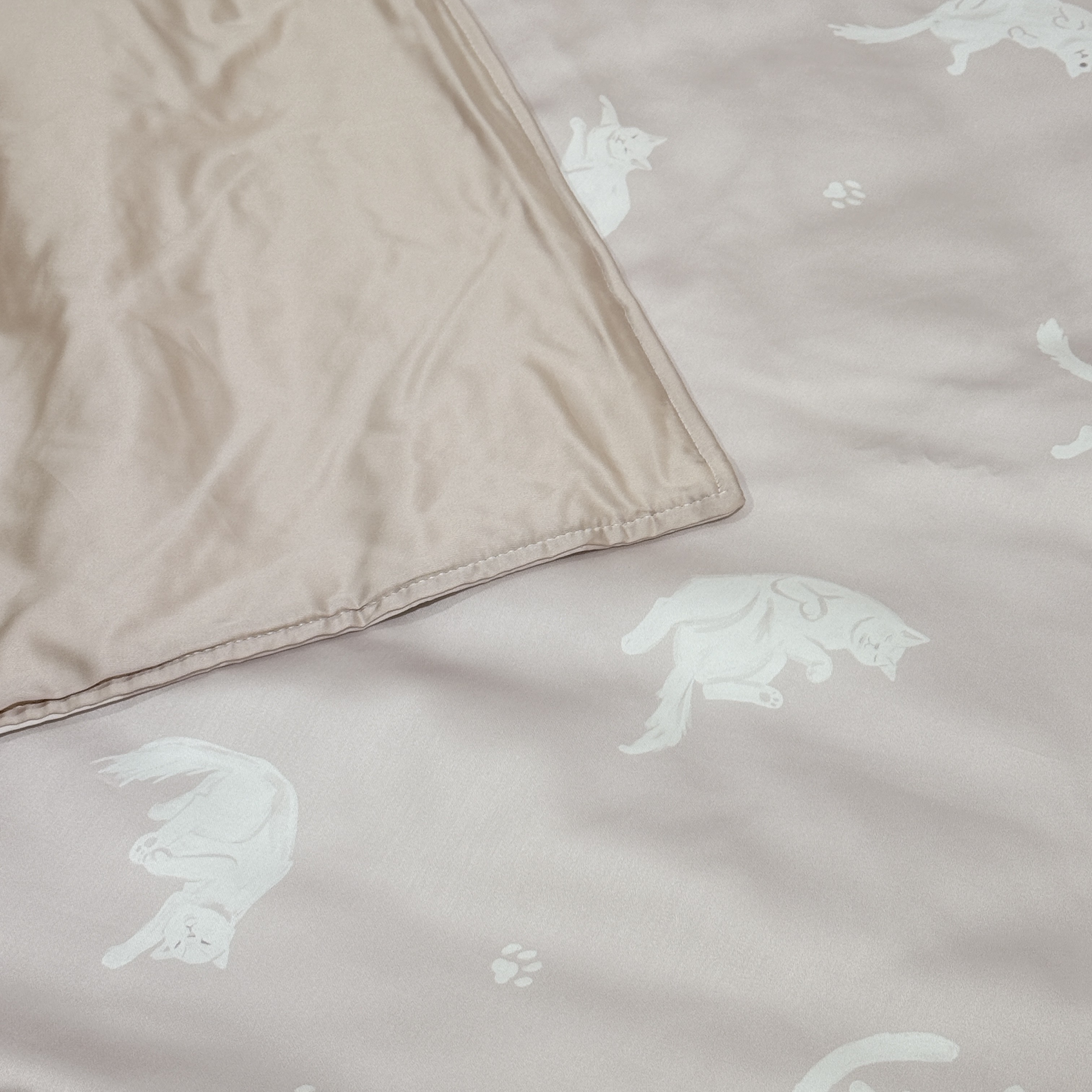 60支天絲床包兩用被組 | 喵喵夢境 DR8300