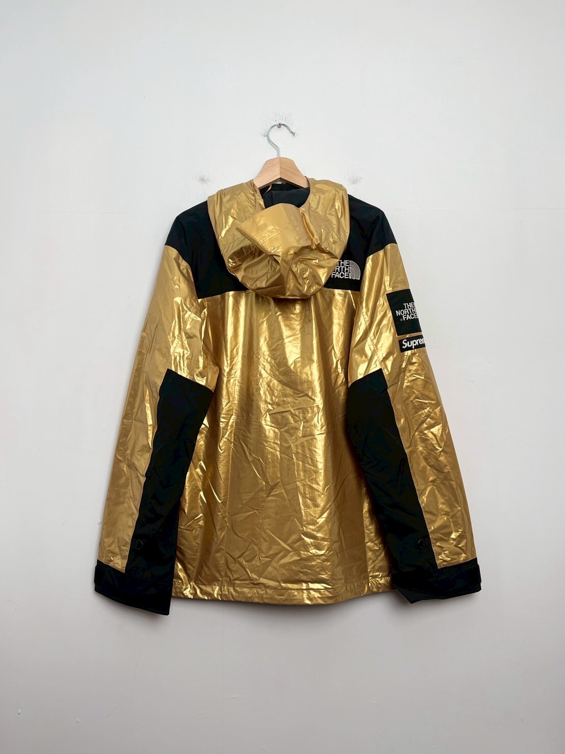 Supreme The North Face Metallic Mountain X SIZE XL