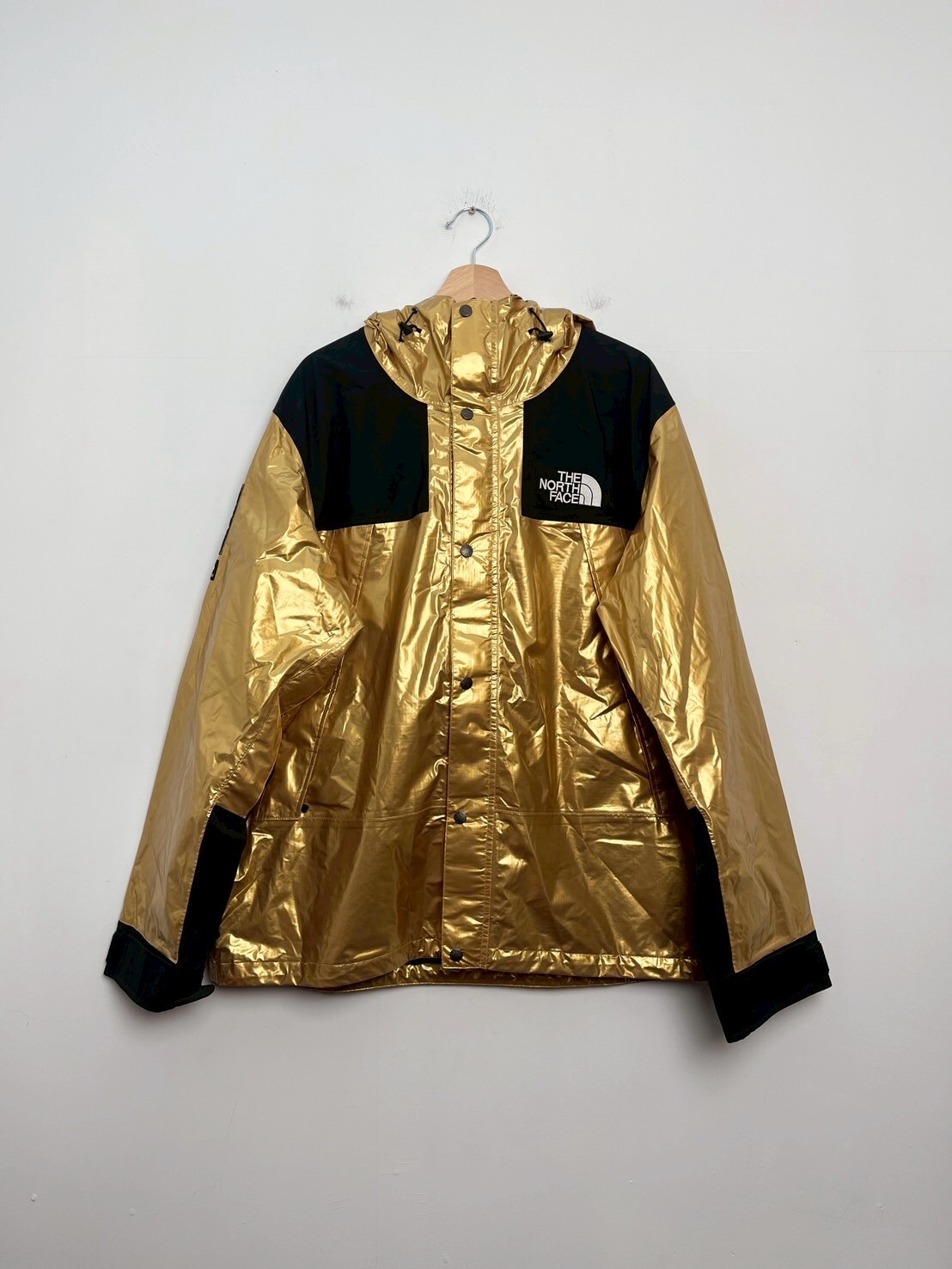 Supreme The North Face Metallic Mountain X SIZE XL