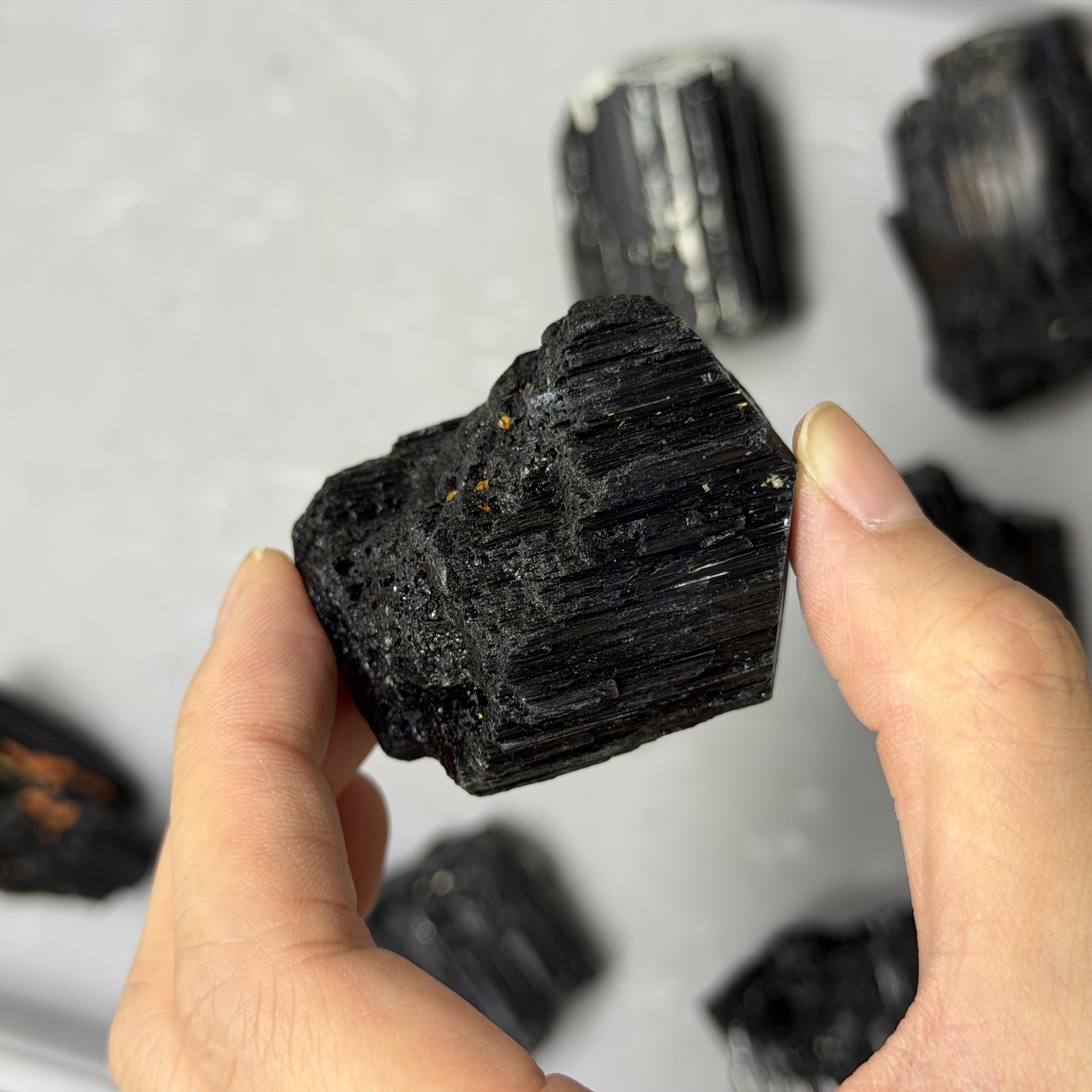 收藏品黑碧璽/電氣石礦標 TRR1771