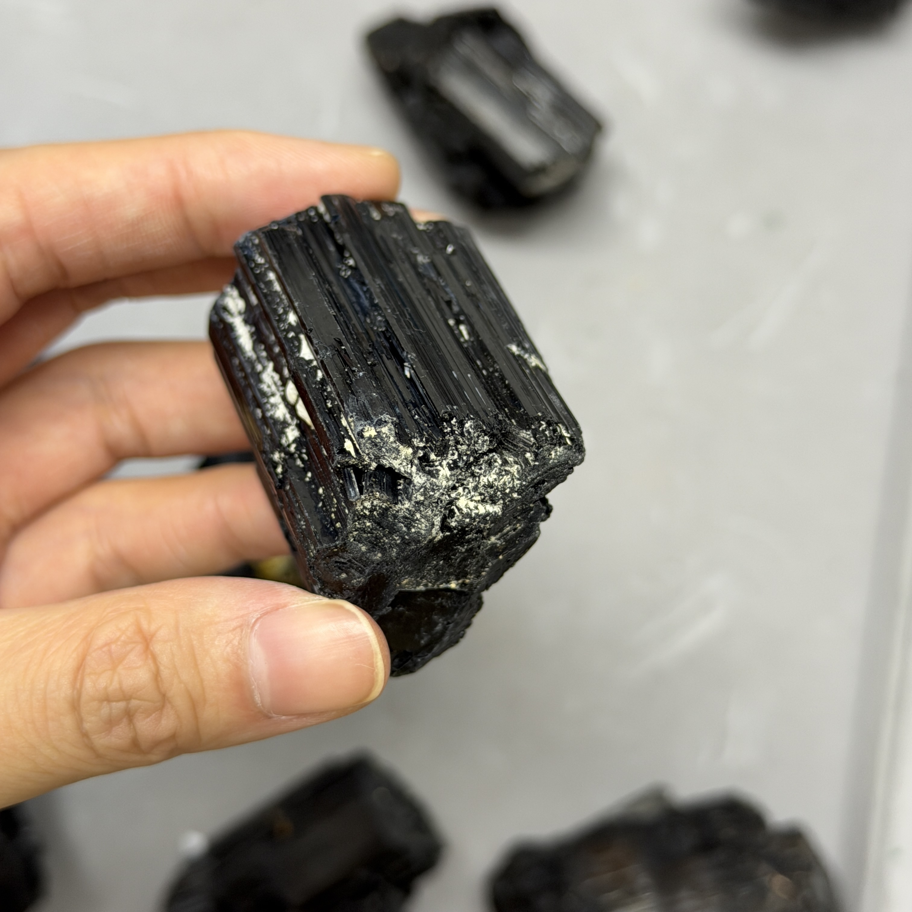 收藏品黑碧璽/電氣石礦標 TRR1769