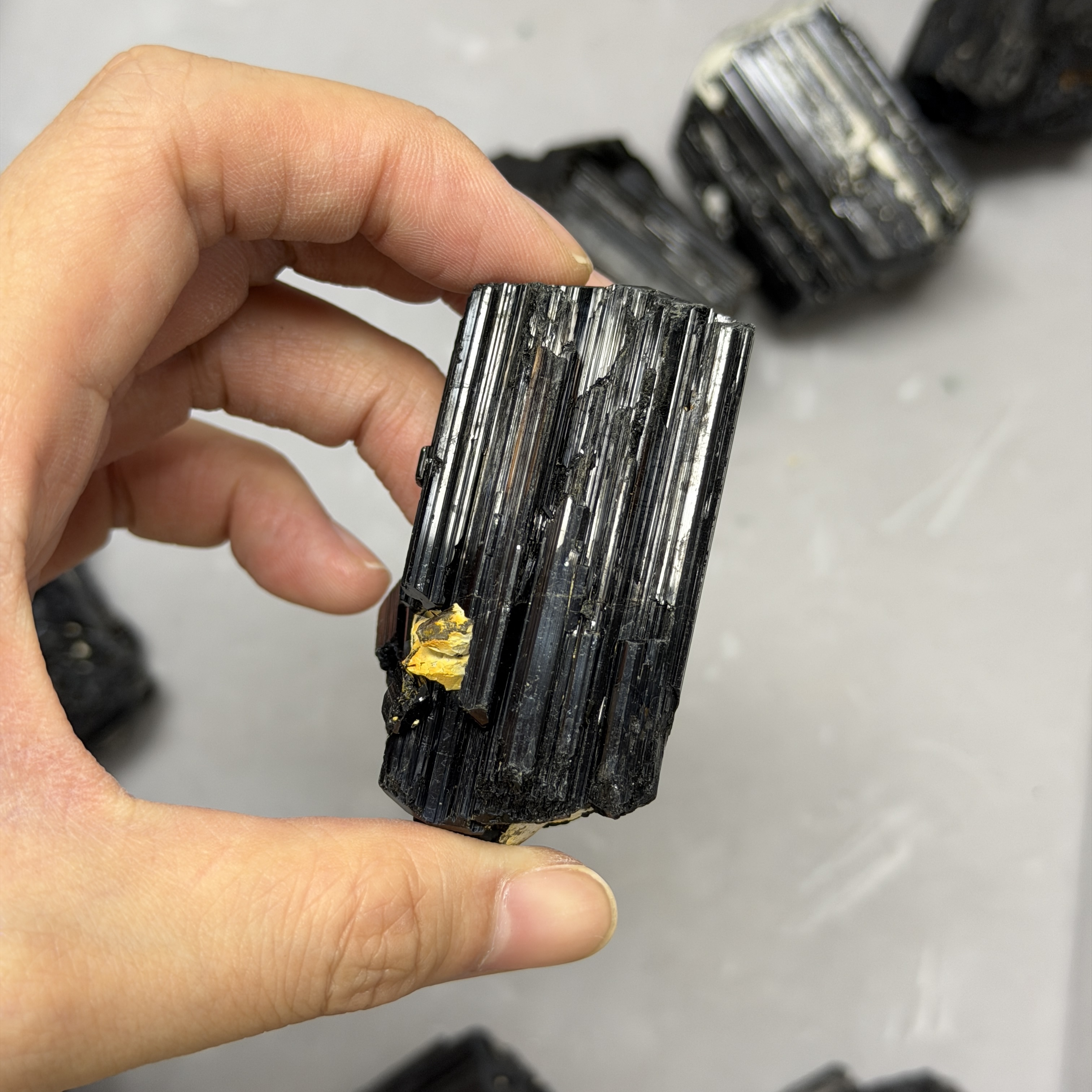 收藏品黑碧璽/電氣石礦標 TRR1768