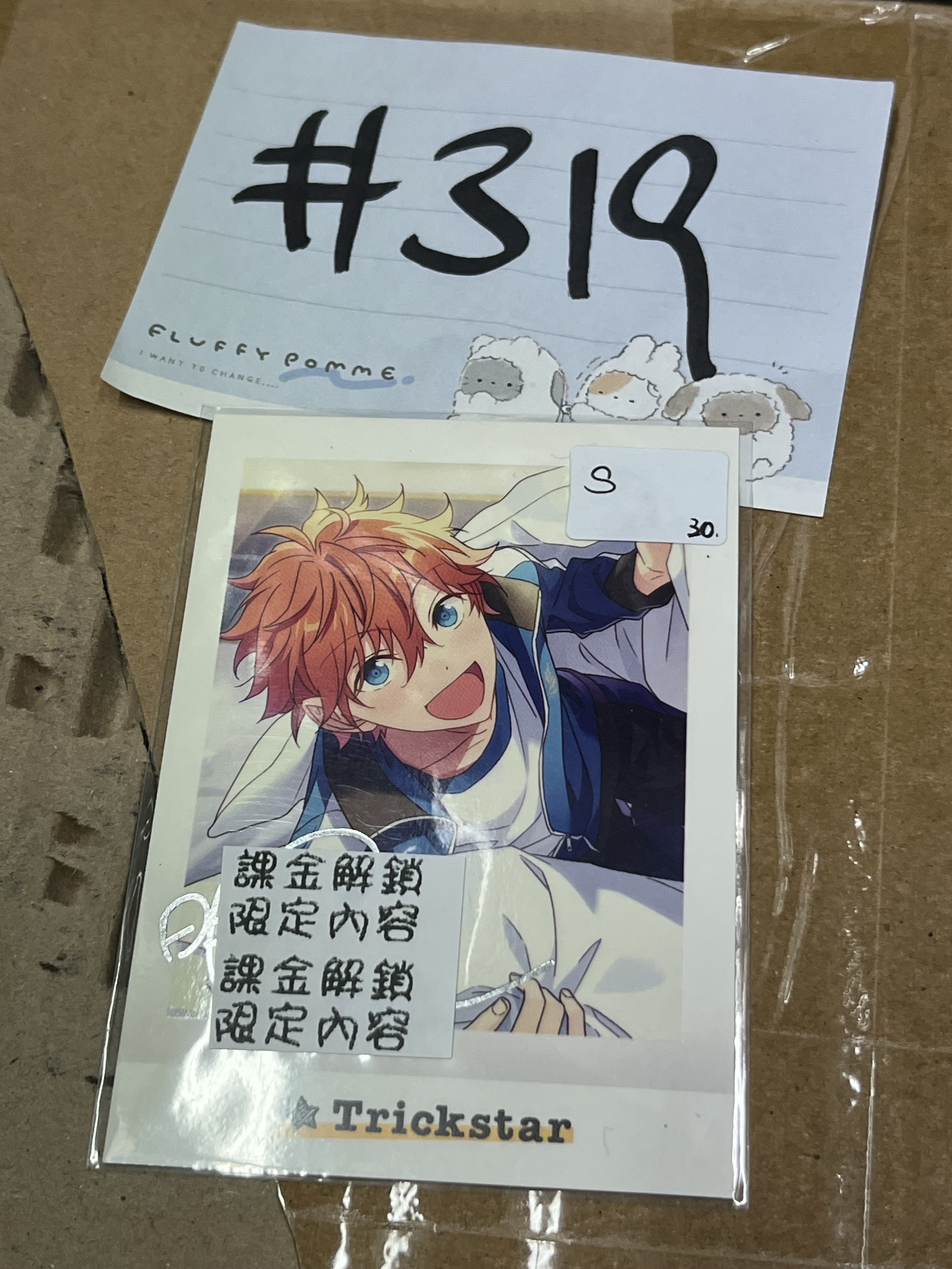 ES SUBARU  S拍立得#319