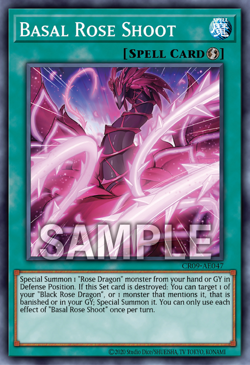 CR09-AE047 Basal Rose Shoot (N)