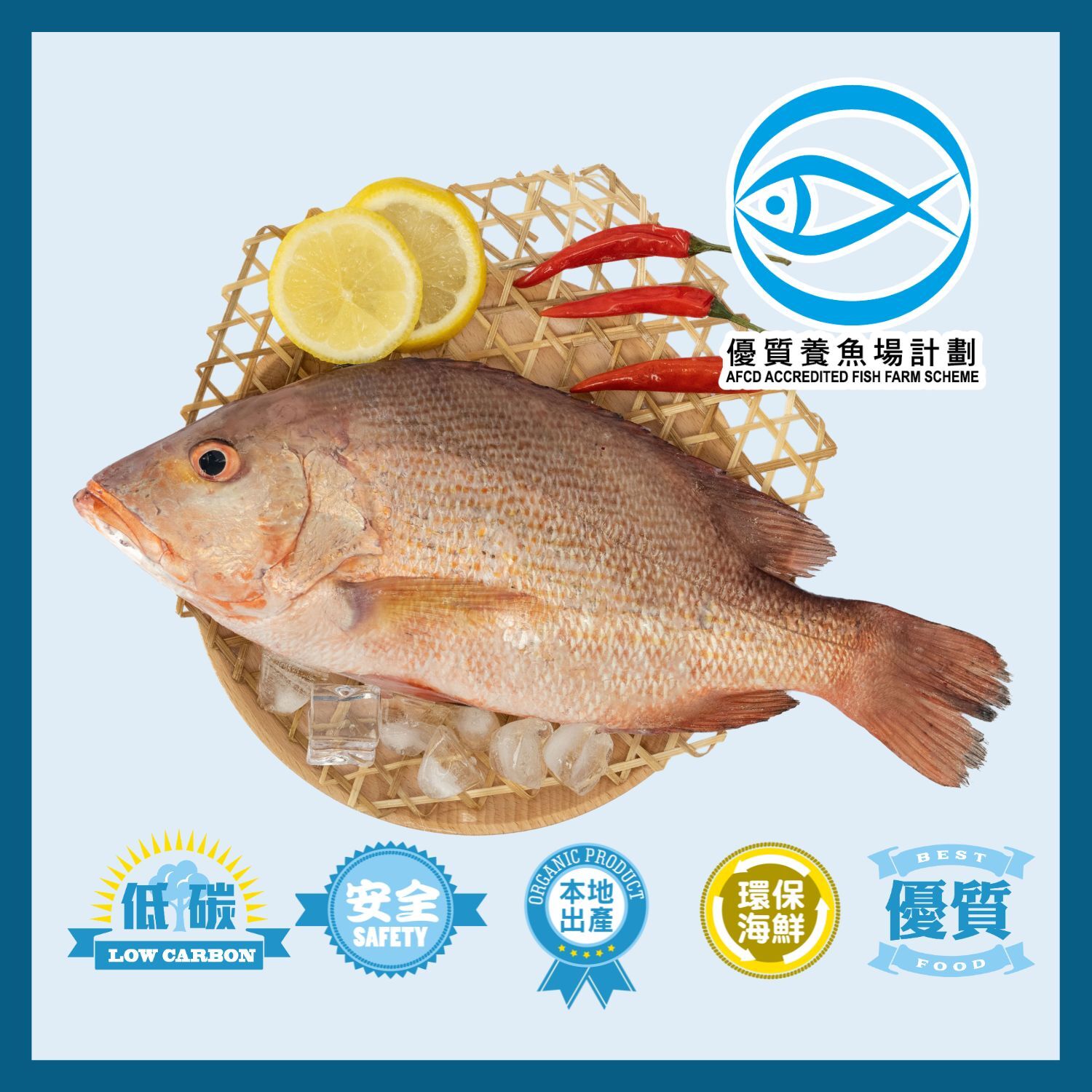 Local IQF AFFS Red Snapper 500g