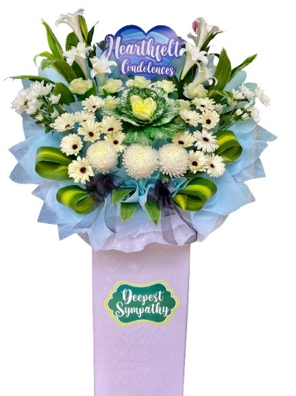 H168A⭐⭐⭐⭐⭐FREE DELIVERY