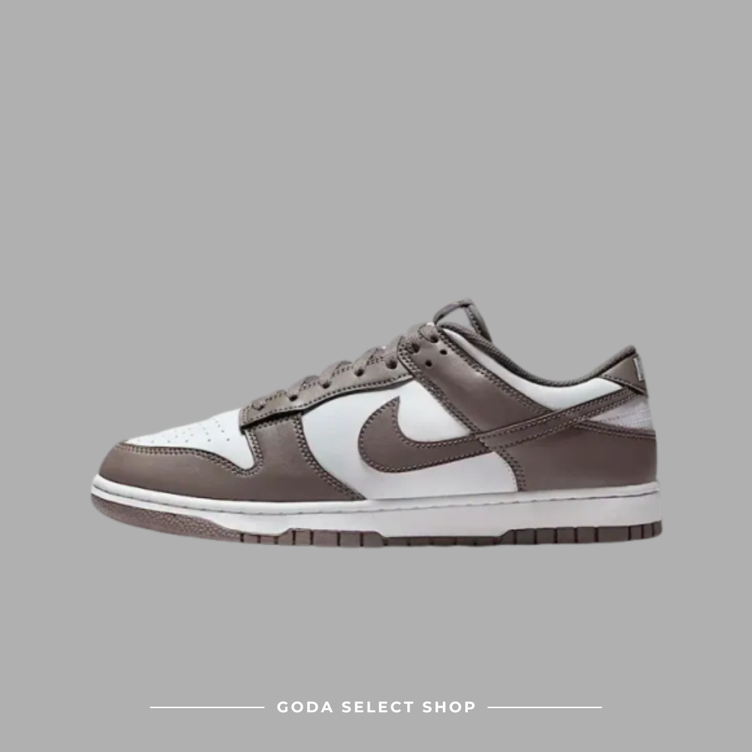 NIKE DUNK LOW RETRO 炭灰棕 HF5441-111