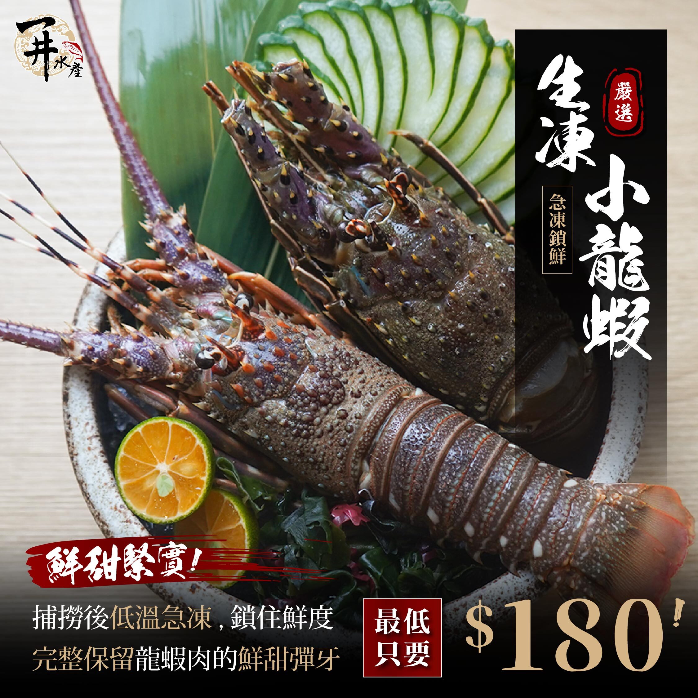 生凍小龍蝦｜青龍 / 巴西小龍蝦 / 錦繡龍蝦 / 七彩龍蝦