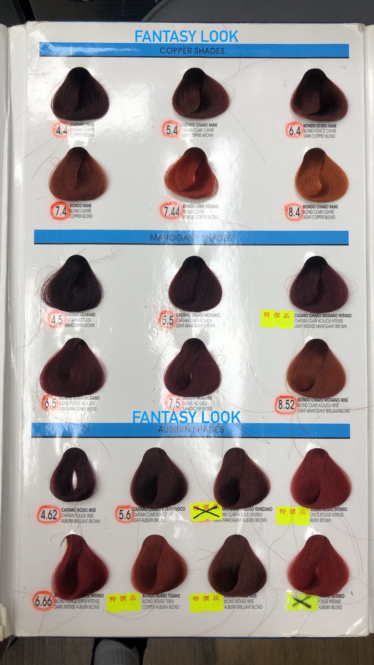 FANTASY LOOK 染髮膏 100ml