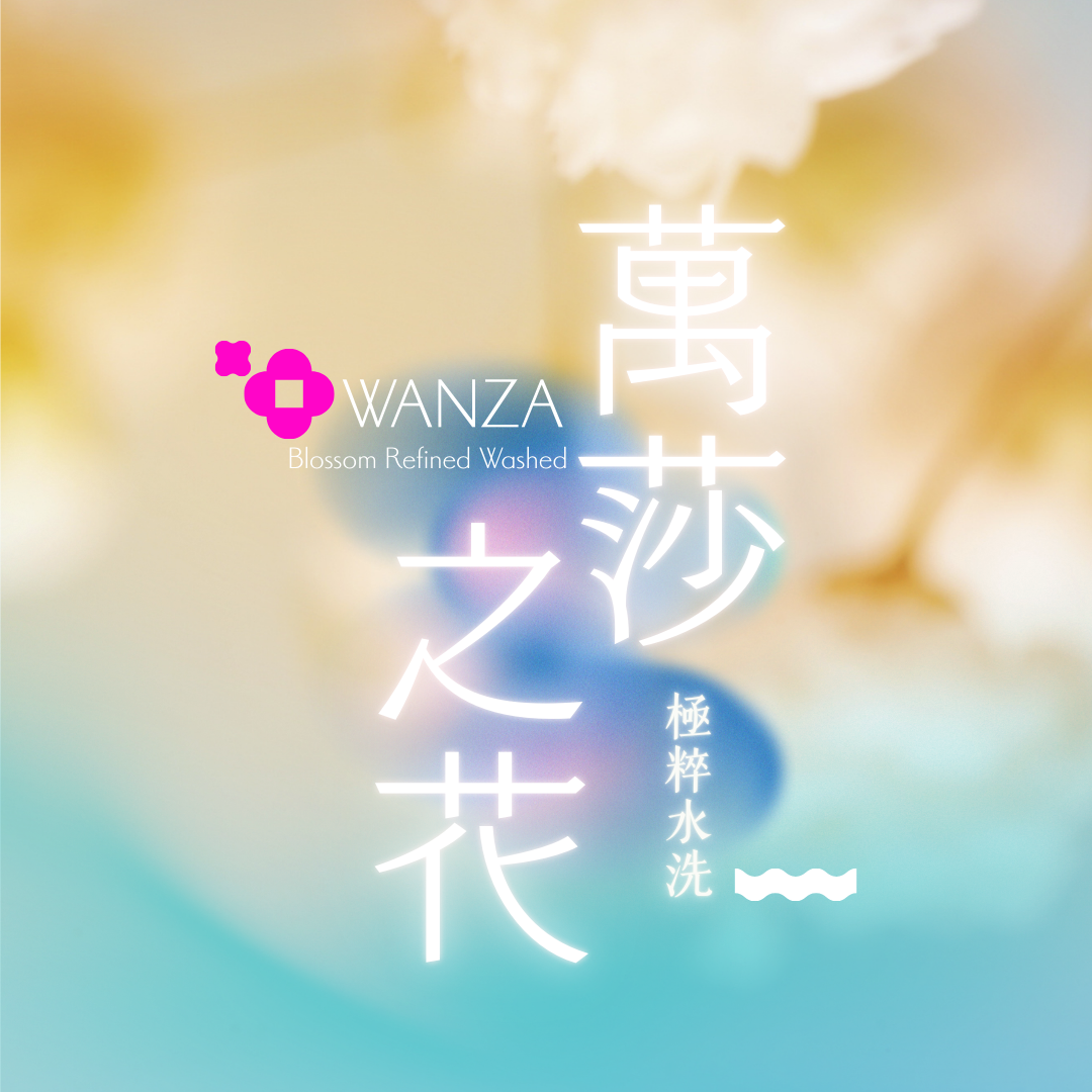 衣索比亞 萬莎之花 極粹水洗