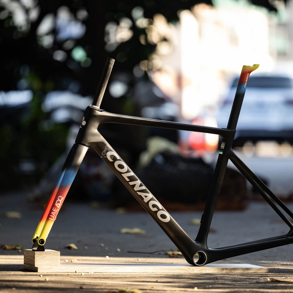 現貨出清【Colnago】V4Rs 車架組 / UAE ADQ WT24 女子車隊版