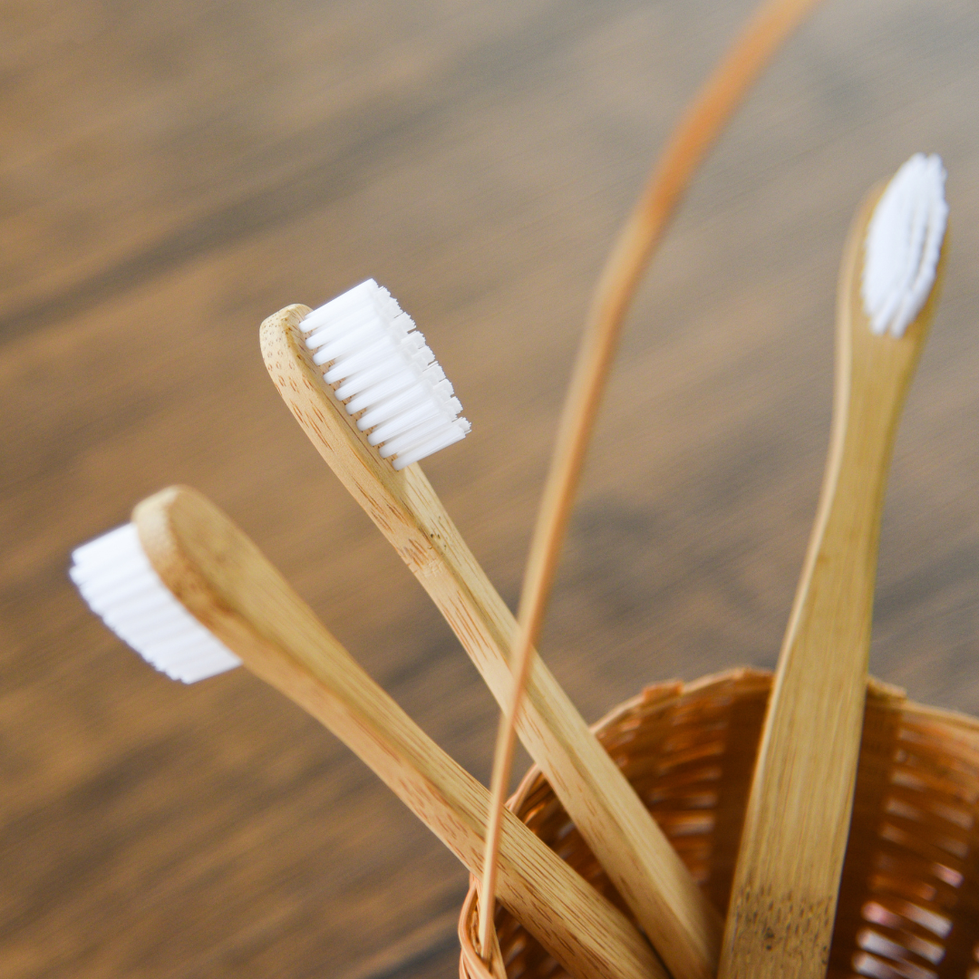 【綠印生活】軟毛竹牙刷 - 海洋動物系列｜成人/兒童款