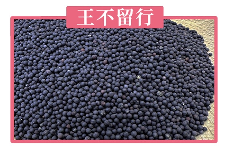 王不留行
