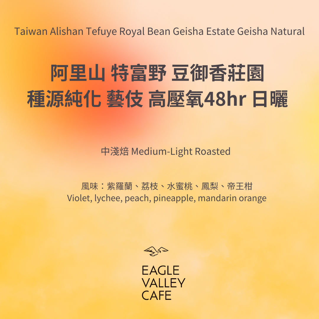 台灣 阿里山 豆御香 莊園 種源純化 藝伎 高壓氧 48hr 日曬 淺中焙