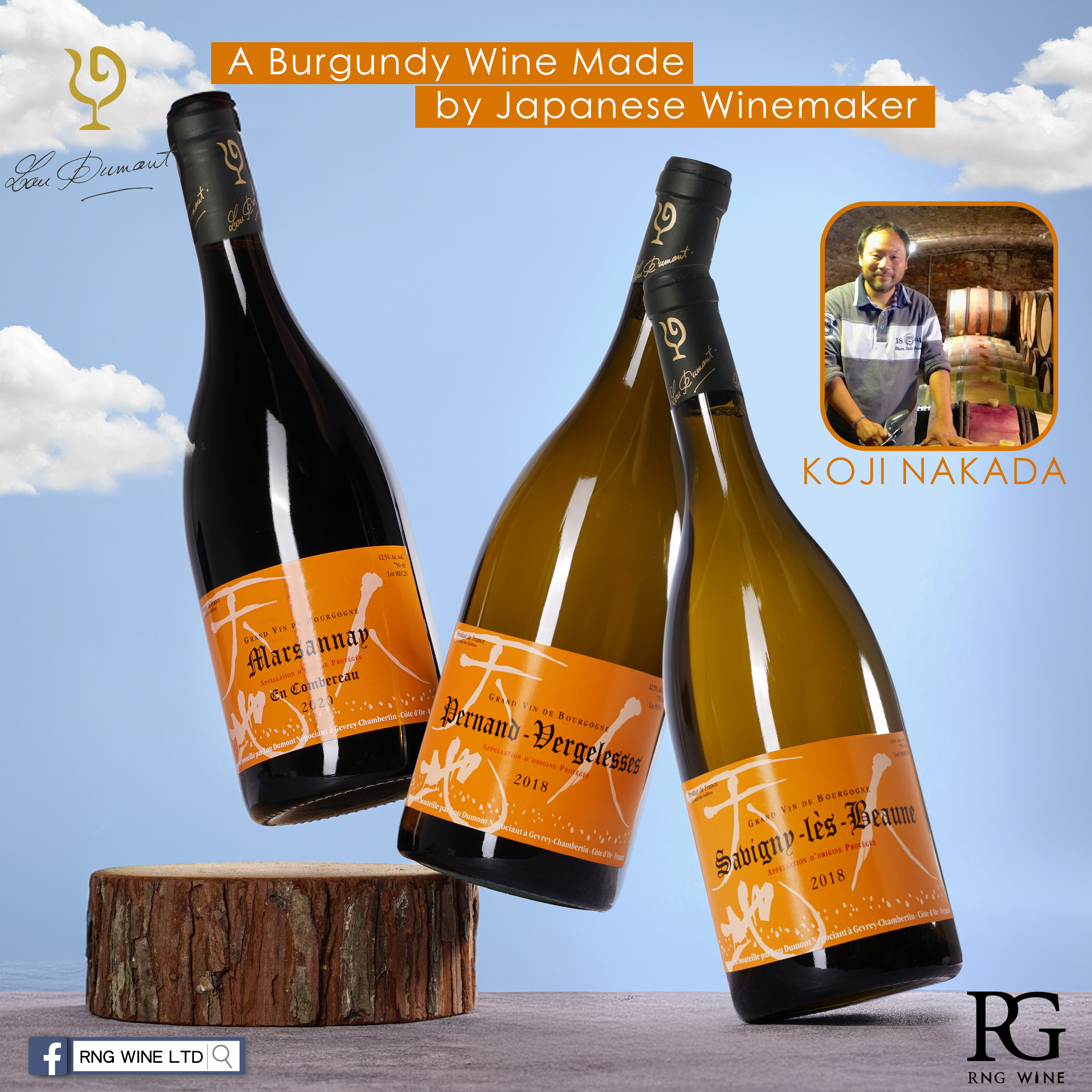 Lou Dumont Savigny-Les-Beaune Blanc 2018