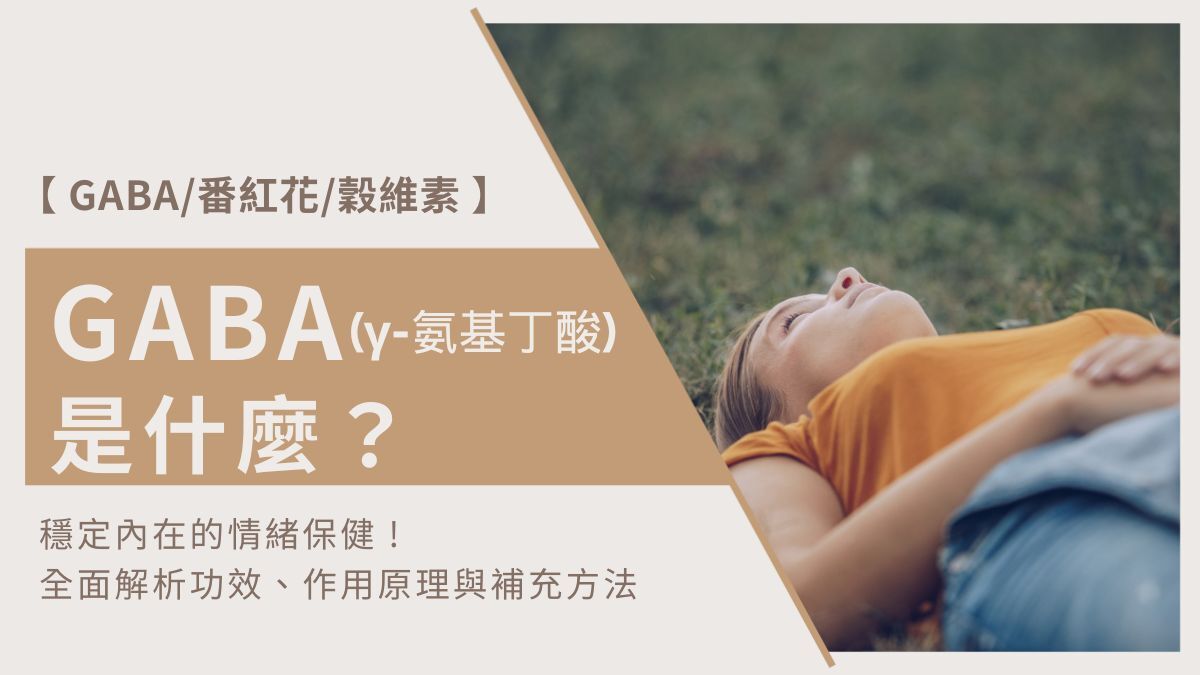 GABA是什麼