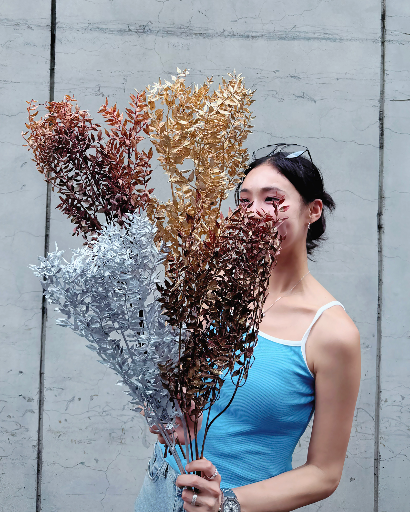 染色富貴葉（義大利）