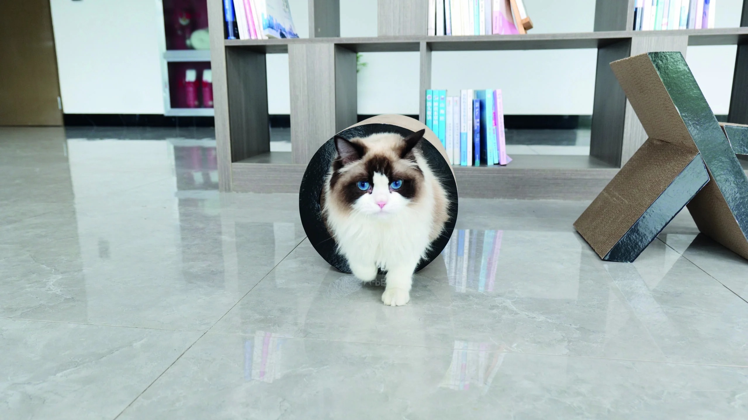 M-Pets 貓抓板．Tulsa