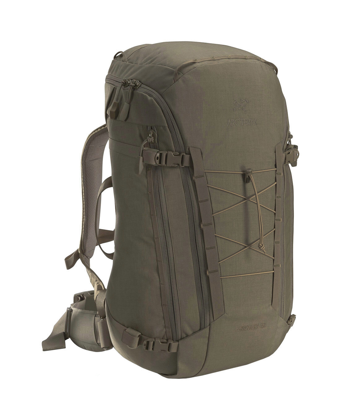 Arcteryx Assault Pack 45 Crocodile