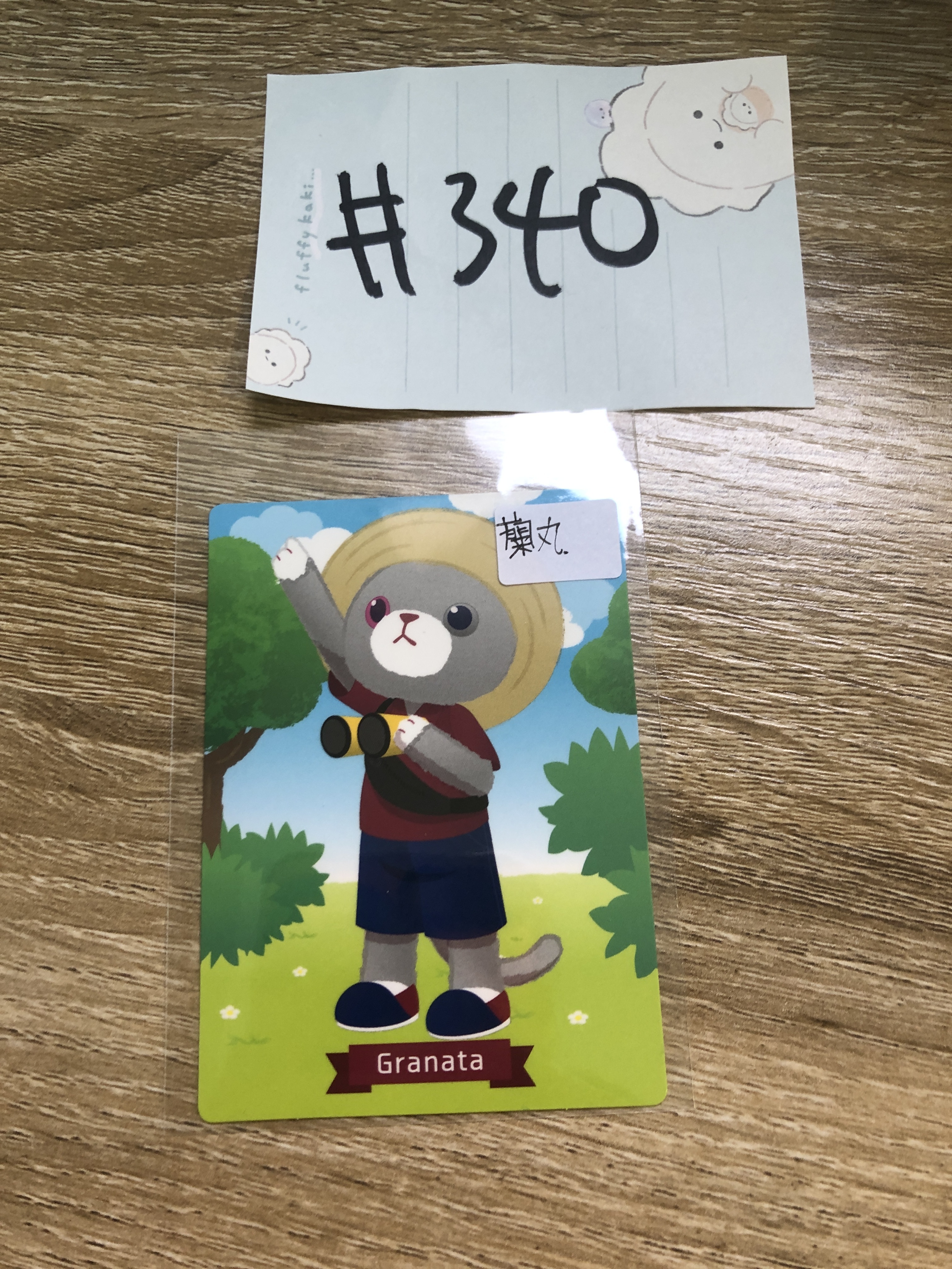 歌之王子殿下 蘭丸 紙品 #340