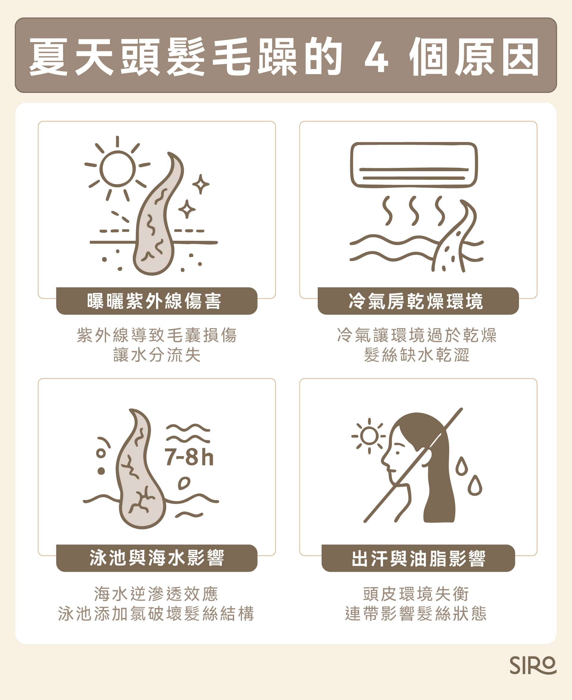 4個夏天頭髮毛躁的原因：曝曬紫外線傷害、冷氣房乾燥環境、泳池與海水影響、出汗與油脂影響