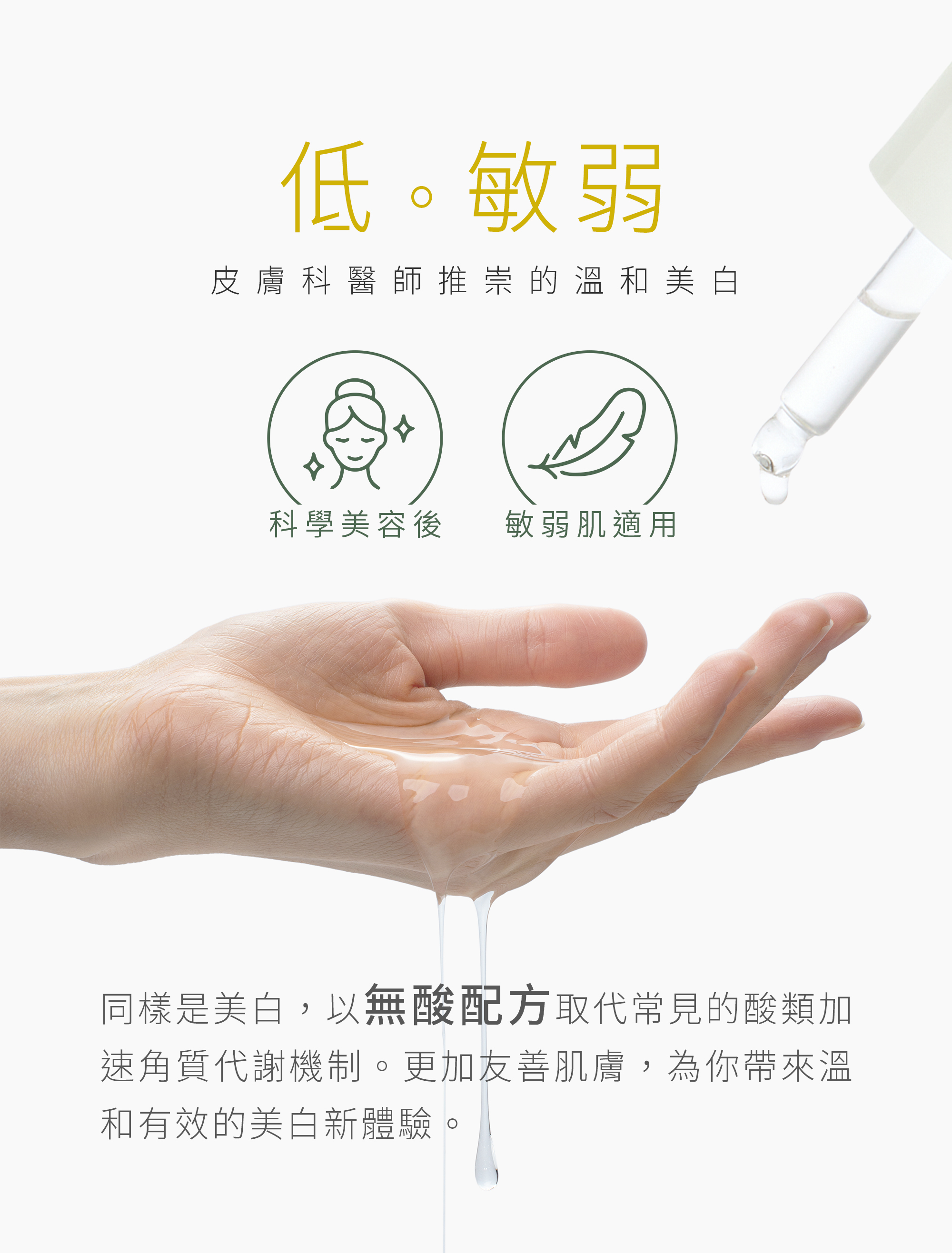 本質研究勻白-04