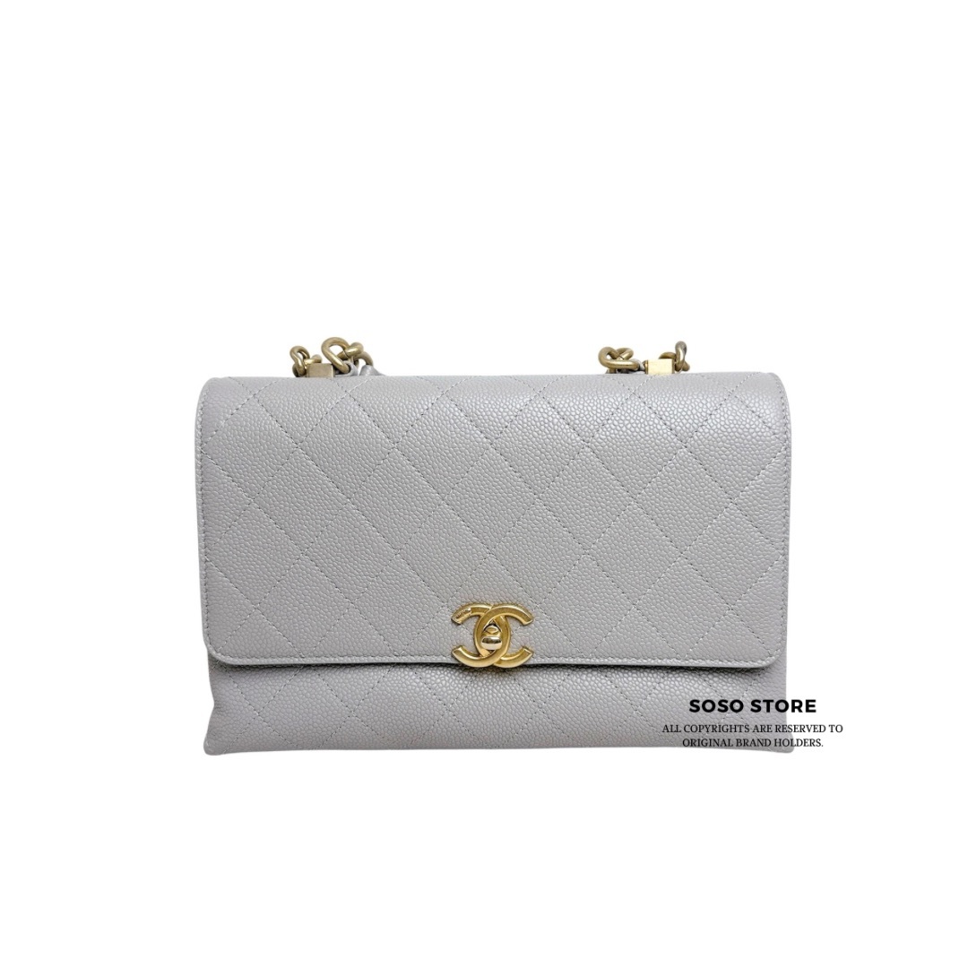 Chanel Flap Bag With Handle Bag - Grey / Ghw