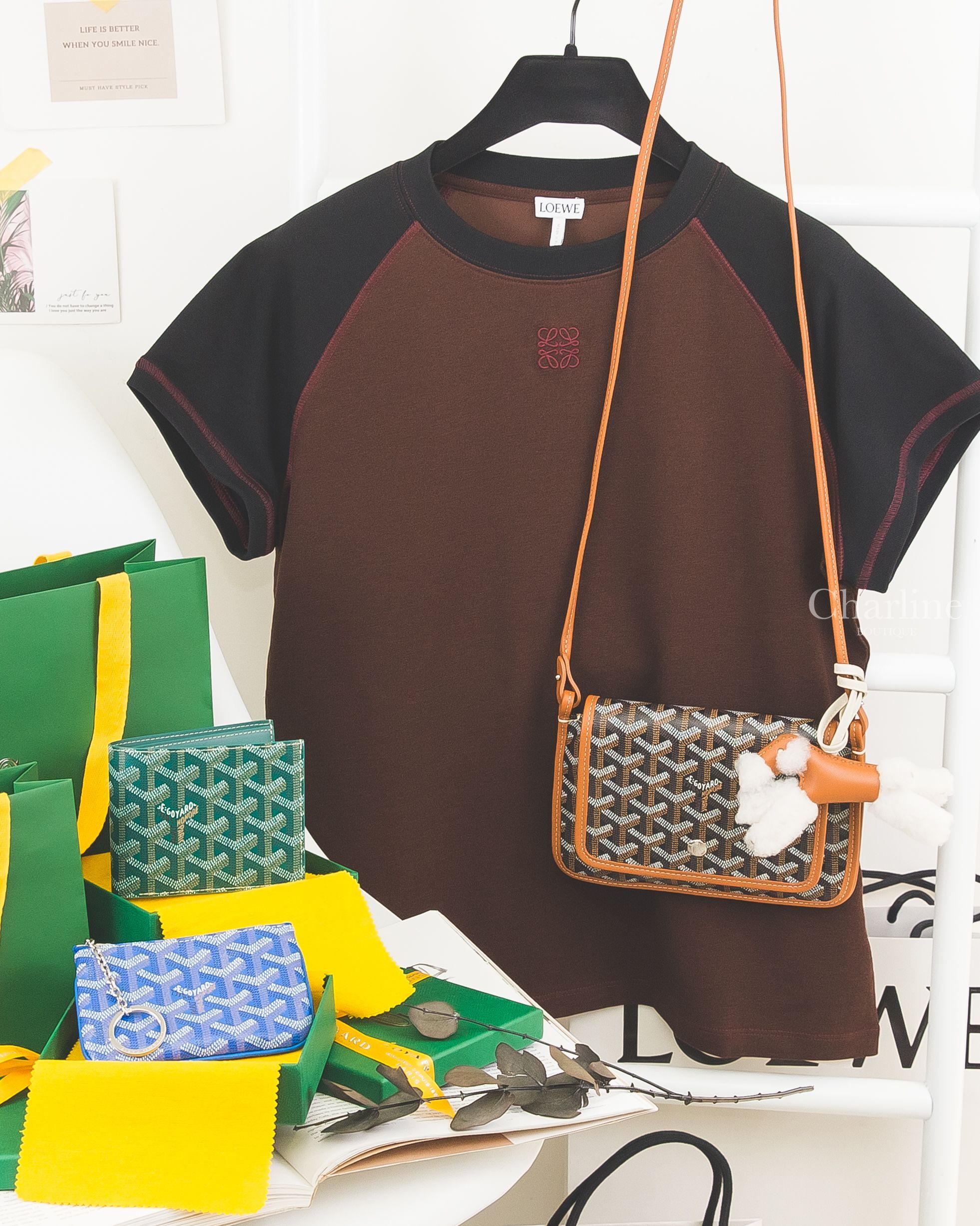 Loewe 咖啡拼黑色酒紅刺繡短T,Goyard Plumet 黑拼咖啡色,Goyard Sénat Nano 天空藍零錢包,Goyard Victoire 綠色短夾,Hermès Budy 焦糖色吊飾-Charline Boutique 精品代購