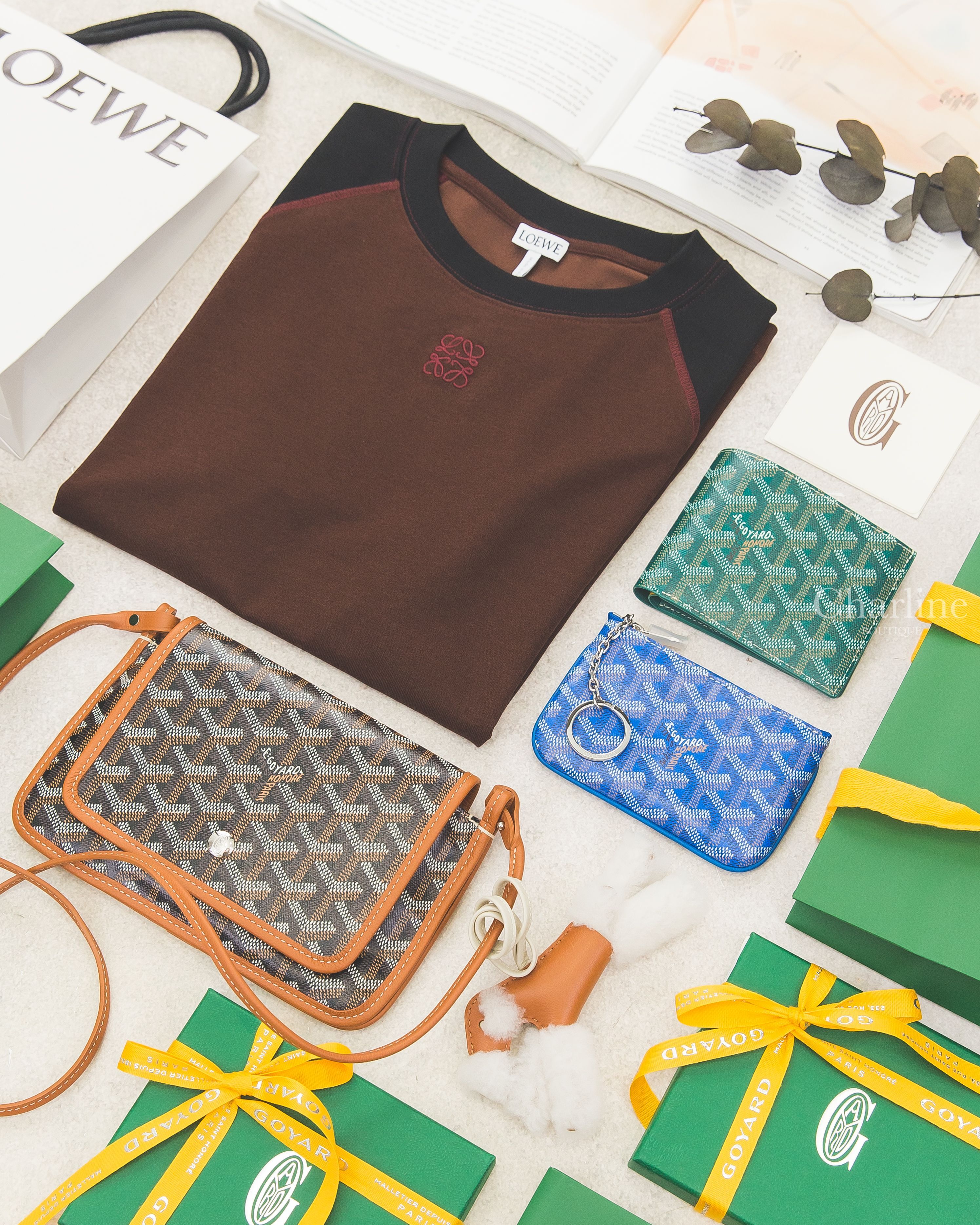 Loewe 咖啡拼黑色酒紅刺繡短T,Goyard Plumet 黑拼咖啡色,Goyard Sénat Nano 天空藍零錢包,Goyard Victoire 綠色短夾,Hermès Budy 焦糖色吊飾-Charline Boutique 精品代購