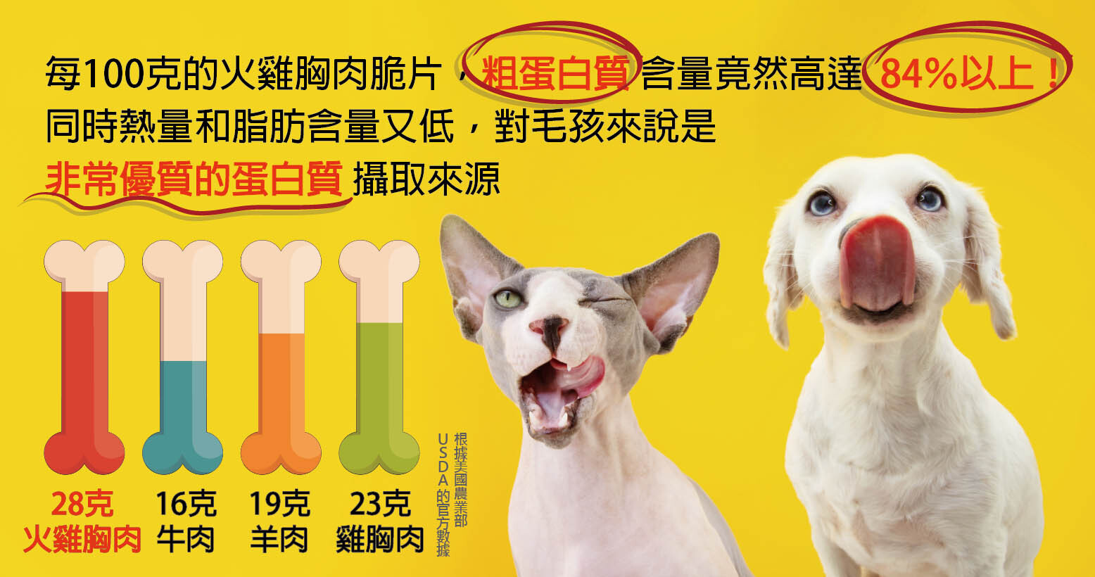 每100克的火雞胸肉脆片,粗蛋白質含量竟然高達84%以上!! 同時熱量和脂肪含量又低,對毛孩來說是非常優質的蛋白質攝取來源_爆能火G_趕食髦