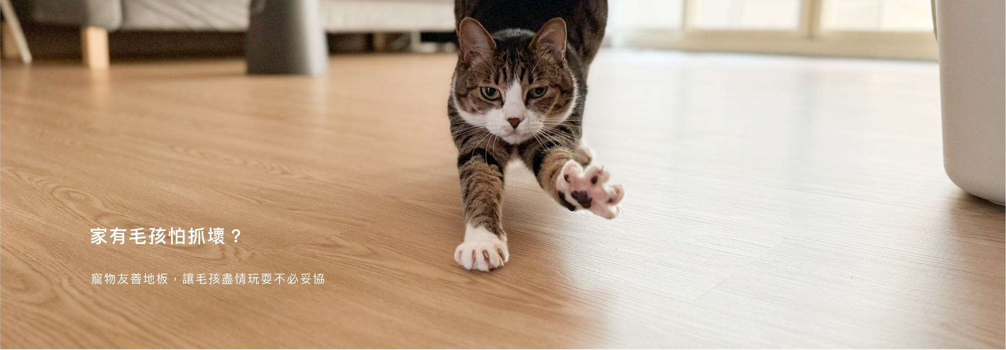 寵物友善地板