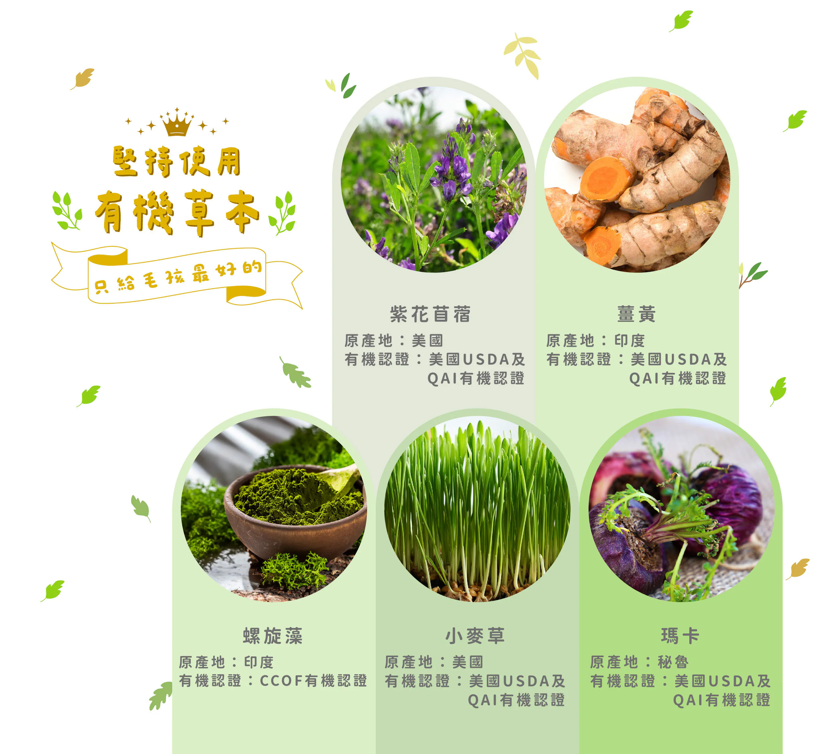 台灣呼嚕喵 HuluMeow｜植有泥｜有機草本機能肉泥條