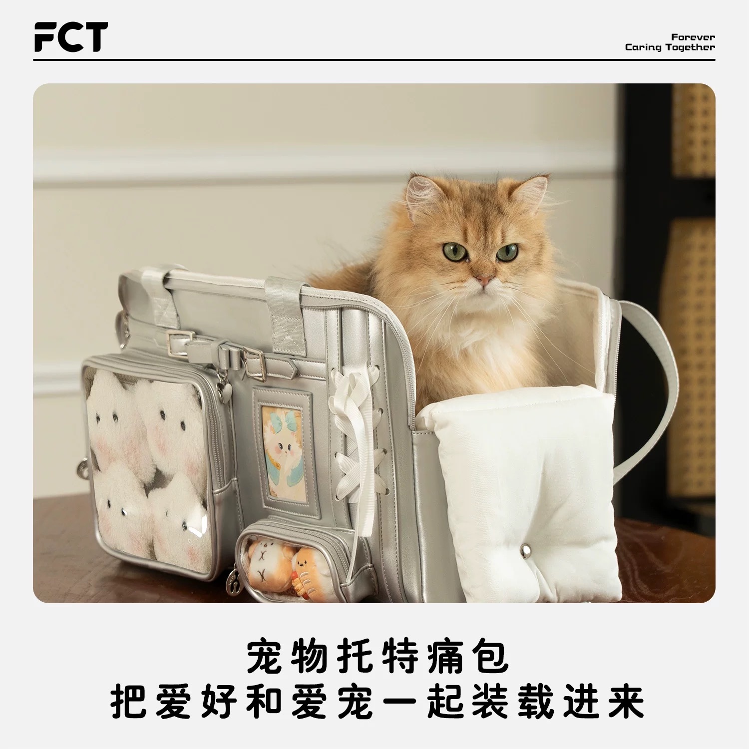 FCT 宠物托特痛包 外出便携