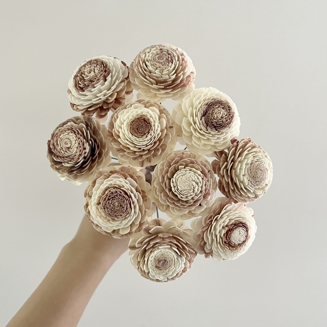 泰國索拉 奶茶玫瑰 4CM <十支一把> (高品質)