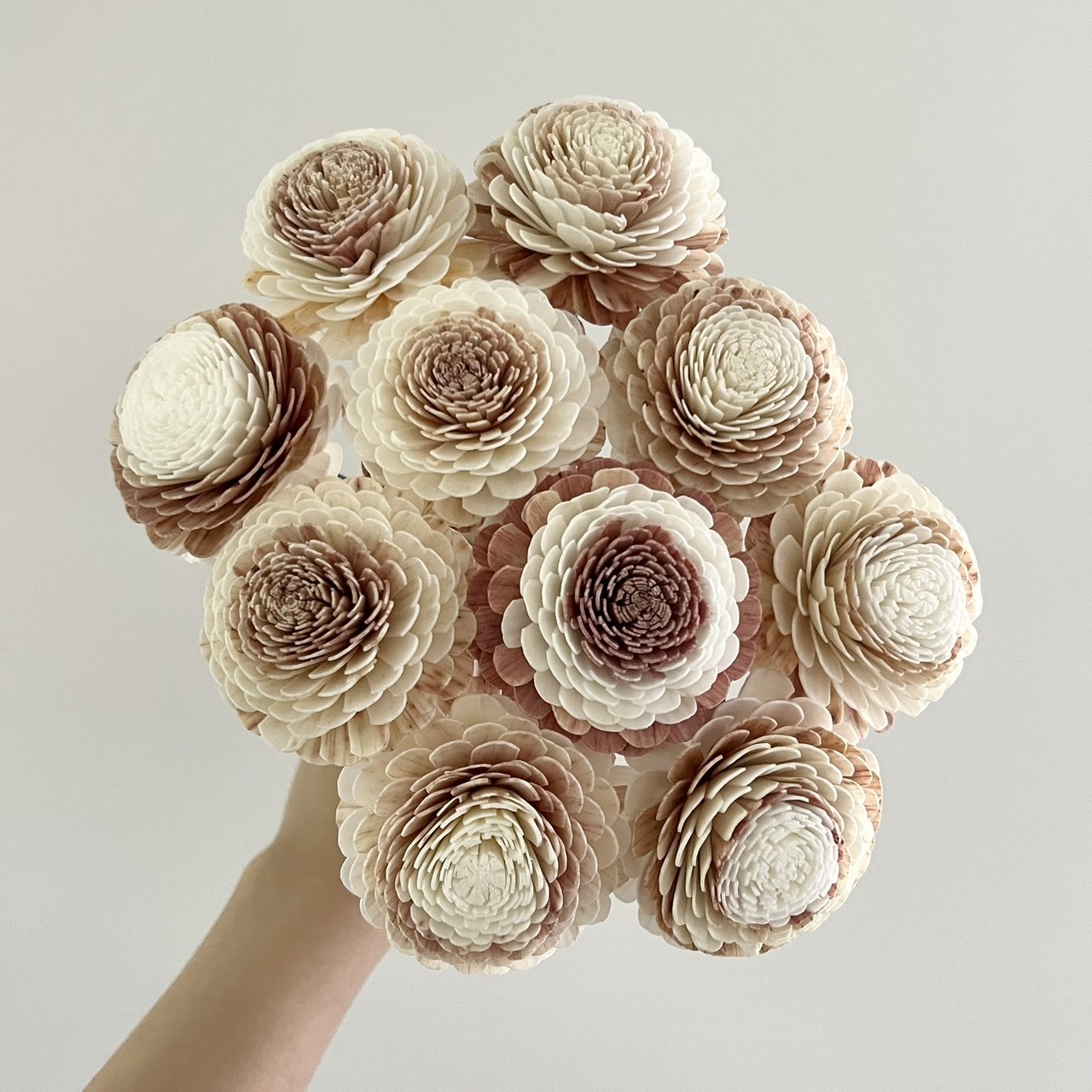 泰國索拉花 奶茶玫瑰6CM <十支一把> (高品質)