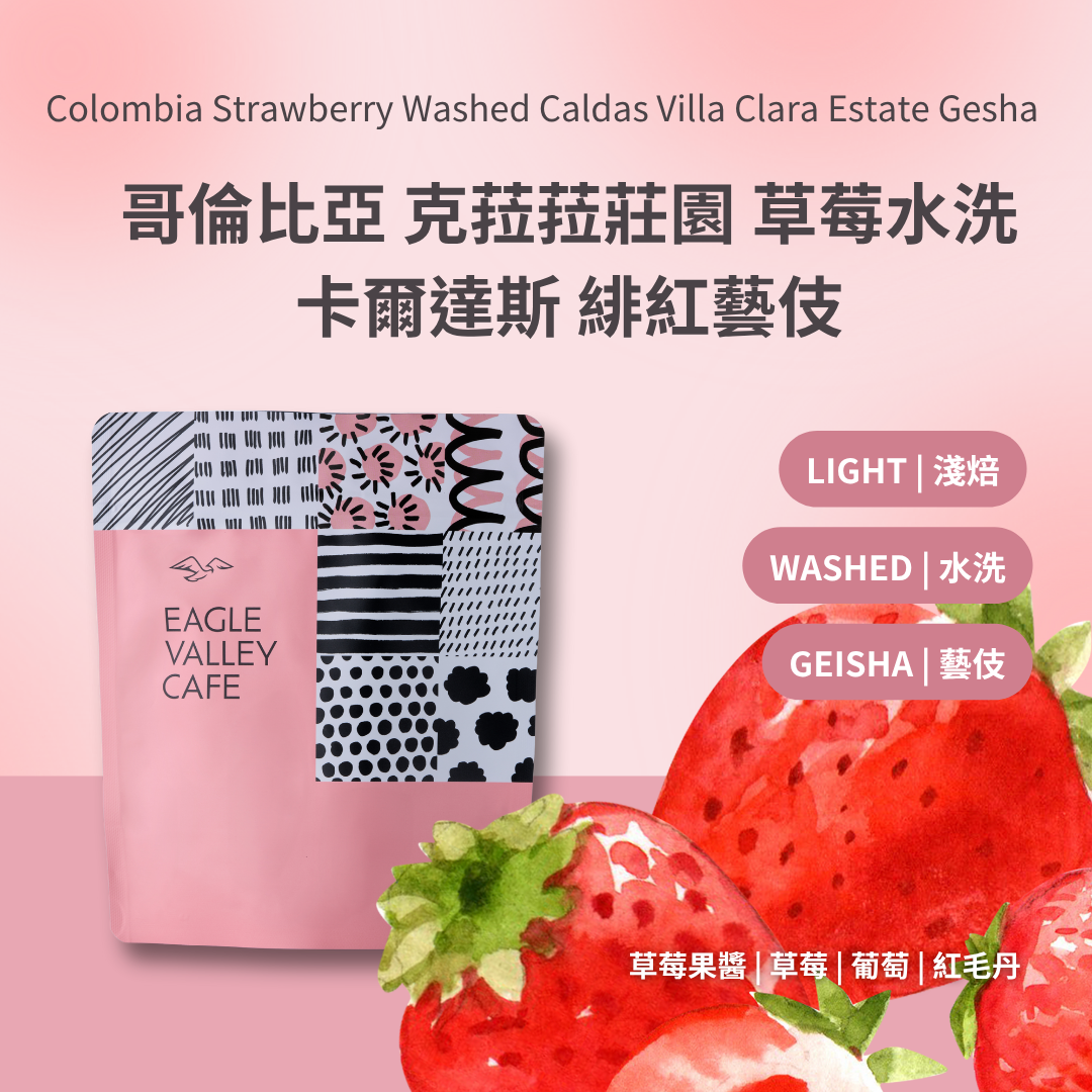 哥倫比亞 克菈菈莊園 草莓水洗 卡爾達斯 緋紅藝伎 淺焙 咖啡豆