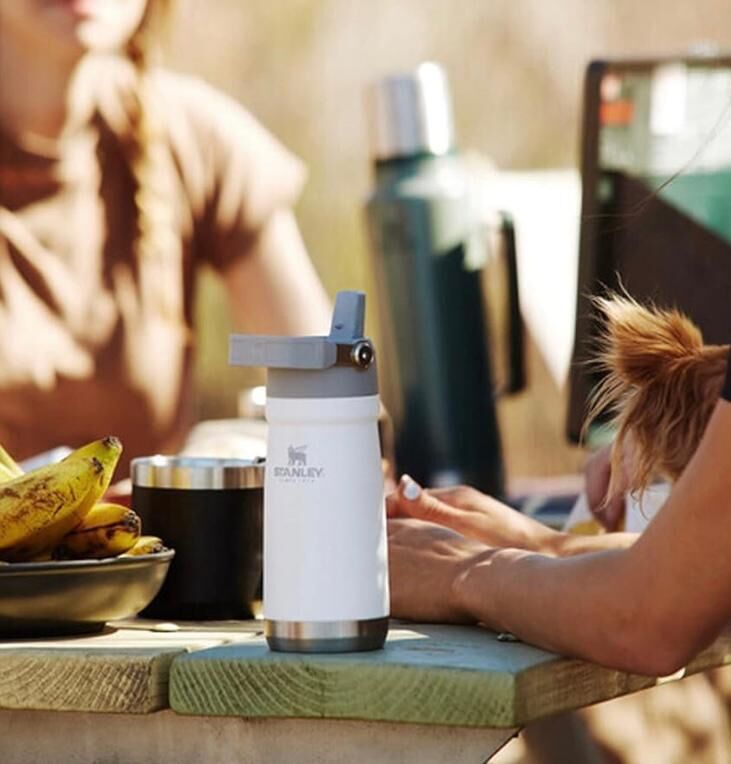 【現貨】Stanley IceFlow Flip Straw G093001 超強保溫杯17oz