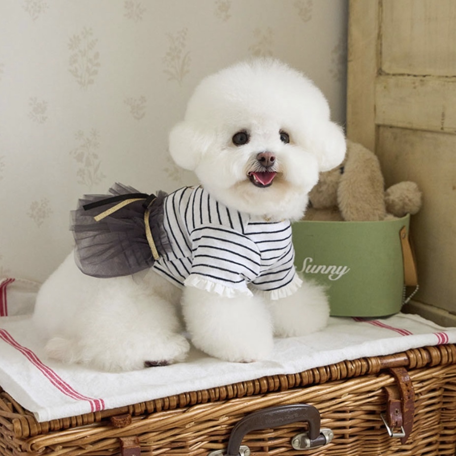 閃耀櫻桃薄紗舞裙 -條紋 Twinkle Cherry Tutu-It’s sunny outside