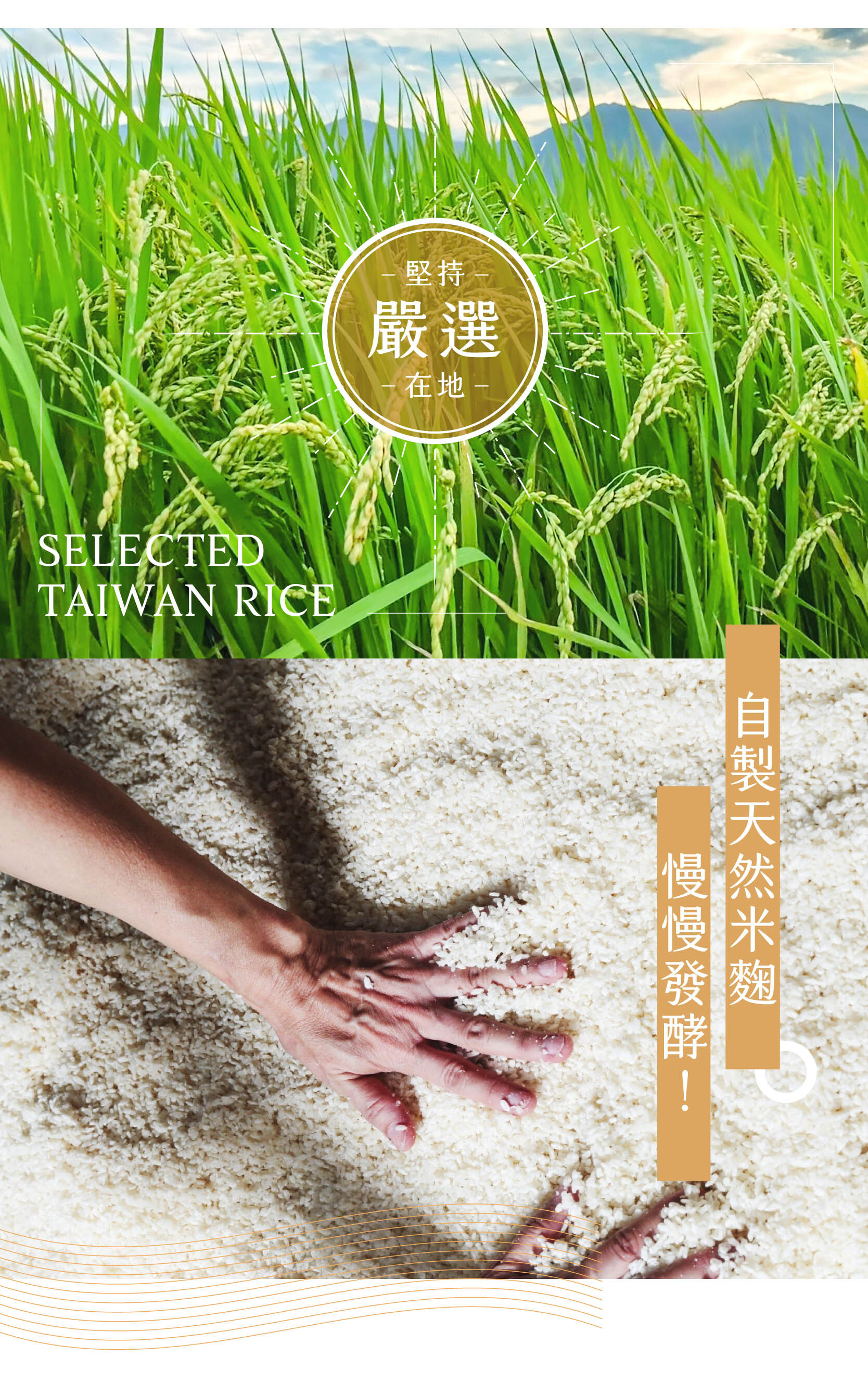 禾乃川-米麴甘酒500mlx10入