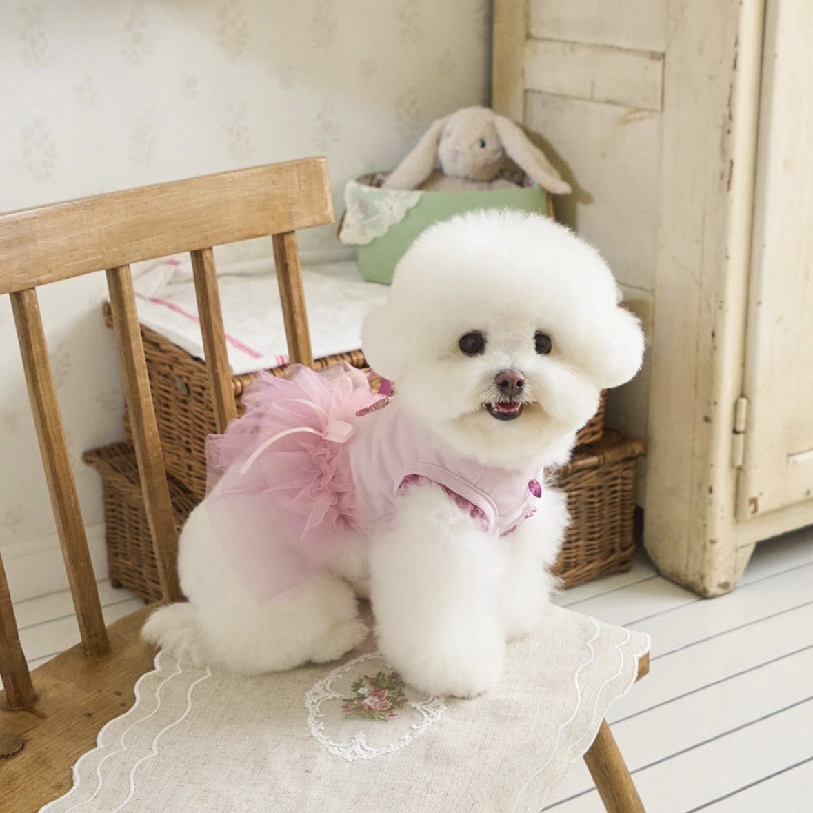 閃耀櫻桃薄紗舞裙 -紫粉紅 Twinkle Cherry Tutu-It’s sunny outside