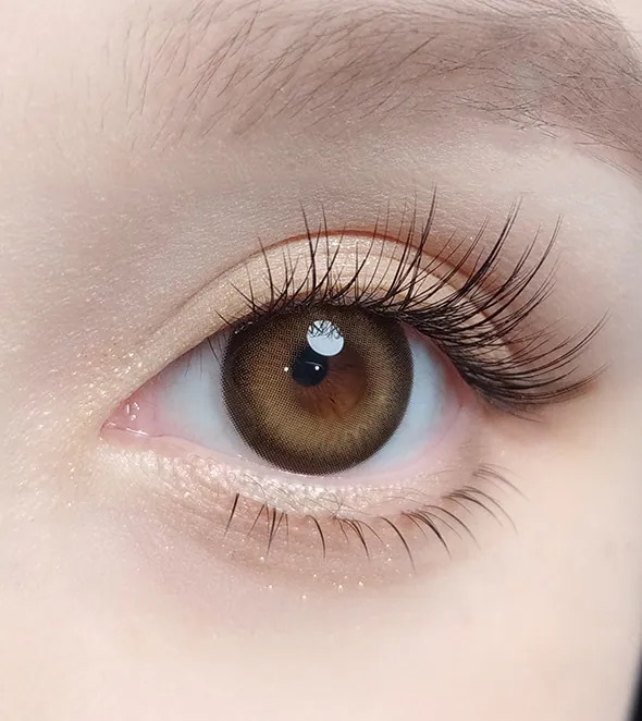 [月拋] OLOLA Siren 1 Month Amber Brown｜月拋彩妝隱形眼鏡｜每盒1片