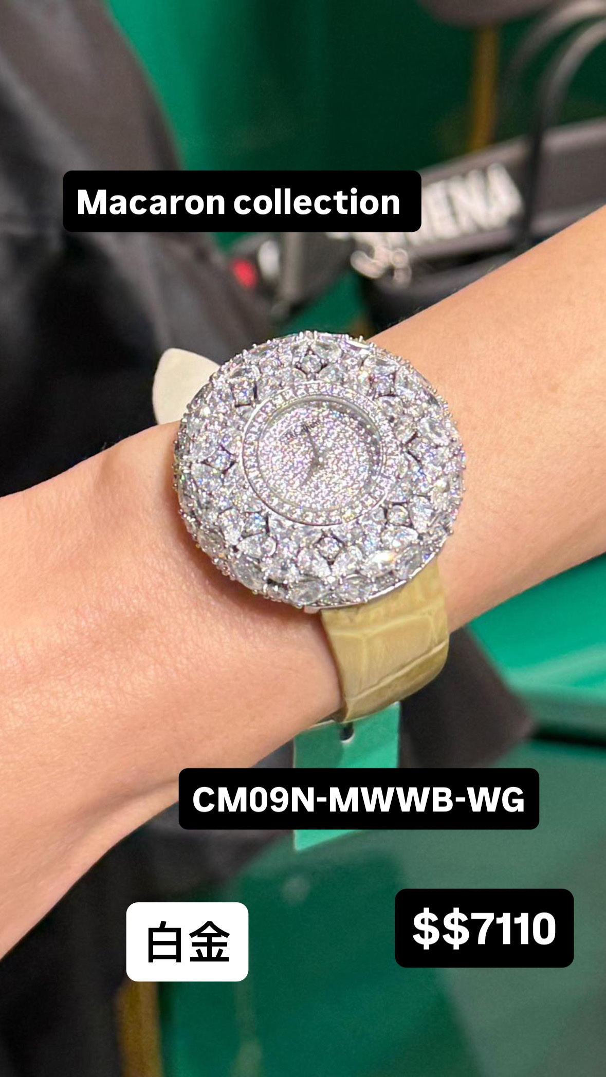 Crisathena Macaron Collection CT-CM09N-MWWB-WG 購買手表贈送表带（價值$880）-M